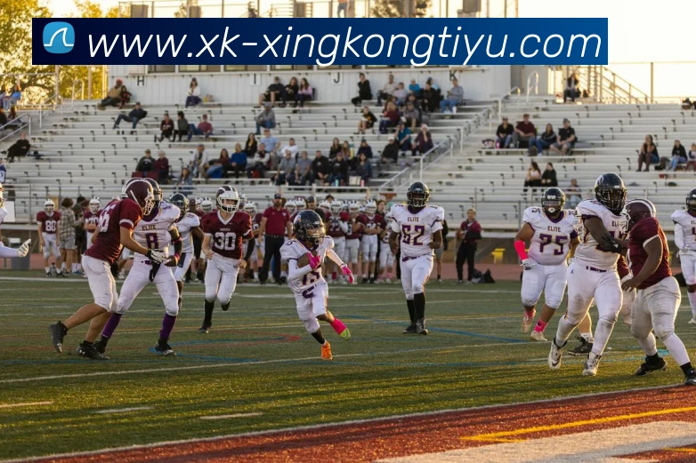 星空体育APP 封面图